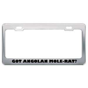 Got Angolan Mole Rat? Animals Pets Metal License Plate Frame Holder 