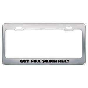 Got Fox Squirrel? Animals Pets Metal License Plate Frame Holder Border 