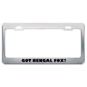Got Bengal Fox? Animals Pets Metal License Plate Frame Holder Border 