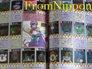 Dragon Quest V Hand of the Heavenly BrideGuide book  
