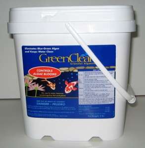 Green Clean Algaecide controls string algae fish safe  