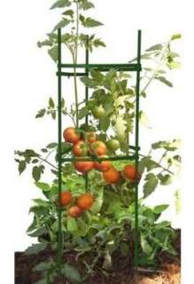 CobraCo Tomatoe Tomato Garden Climbing Vine Stake Support Cage STEZ1 