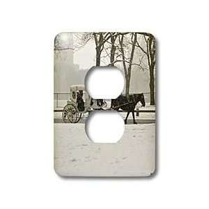   Manhattan New York City   Light Switch Covers   2 plug outlet cover