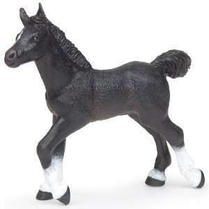  Black Anglo Arab Foal Toys & Games