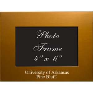 University of Arkansas   Pine Bluff   4x6 Brushed Metal 