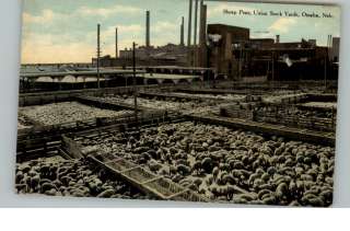 OMAHA NE Stock Yards c1910 Postcard  