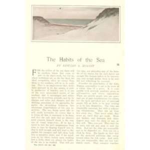 1906 Habits of the Sea Ocean Tides Waves Plants 
