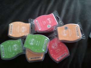Scentsy Bar Several to Choose from  