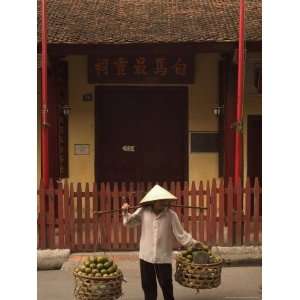  Fruit Seller, Lady Wearing Conical Hat, Hanoi, Northern 