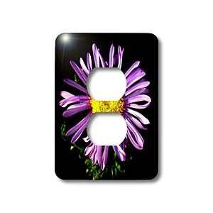  Taiche Photography   Flower Aster   Light Switch Covers 