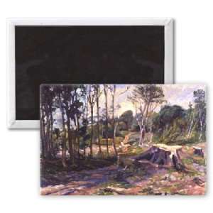  After the Storm, Sussex by Robert Tyndall   3x2 inch 