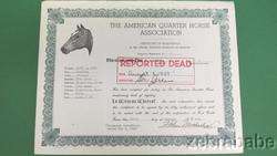 Wimpy T 1 AQHA Original Registration Papers Dated 1941 (Temporary 