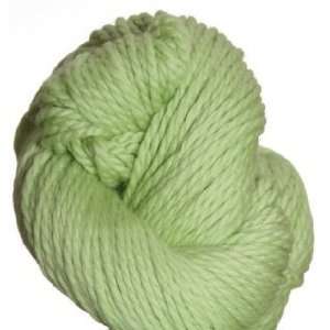  Cascade Yarn   128 Superwash Yarn   850 Lime Sherbet Arts 