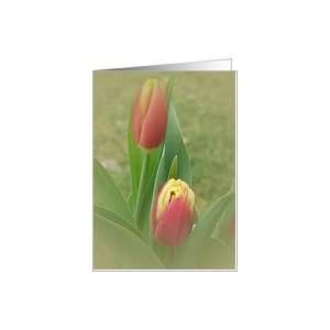  Beautiful Blur Tulip Blank Card Note Card Card Health 