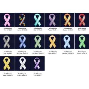  Awareness Magnets   Small   Assorted Colors (30 Magnets 