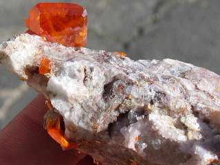 Wulfenite, Red Cloud Mine, Arizona  