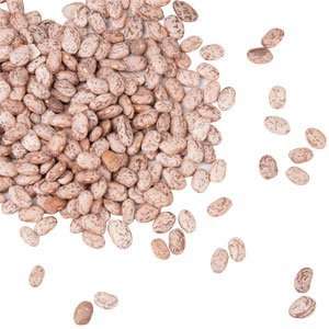 Dried Pinto Beans   20 lbs.  Grocery & Gourmet Food