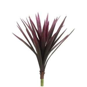  24 Tropical Yucca Plant w/31 Lvs. Purple (Pack of 12 