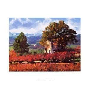  Liebermans P1664322176 Bastide 20.00 x 16.00 Poster Print 