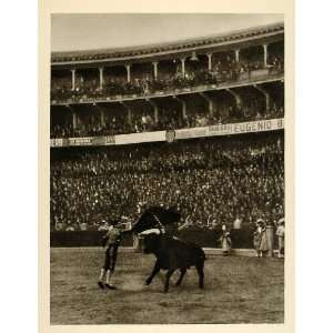   Madrid Spain Matador Bull   Original Photogravure