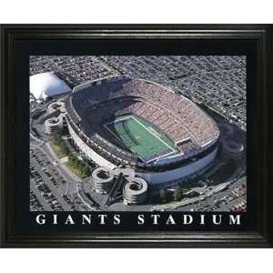  New York Giants   Giants Stadium Aerial   Lg   Framed 
