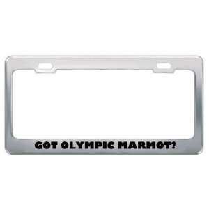  Got Olympic Marmot? Animals Pets Metal License Plate Frame 