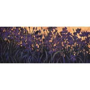 Iris by Michael Palmer 48x20