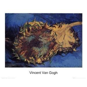 Tournesol   Poster by Vincent Van Gogh (20x16) 