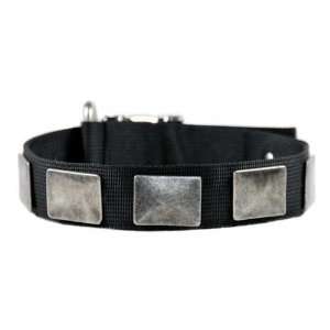  For Tough Dogs Only Nylon Dog Collar