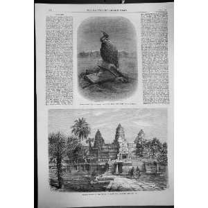  1868 Façade Temple Ongou Wat Cambodia Griffon Vulture 
