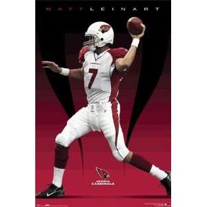  Matt Leinart Poster