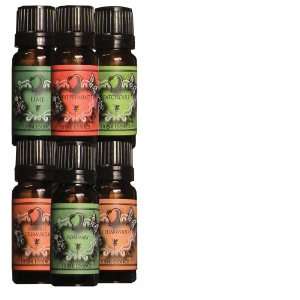  Fragrance Oil   Eternals Top New Addition 6 Pack   Lime 