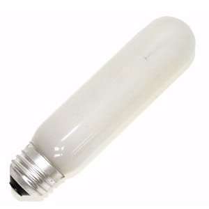  25 watt T10 incandescent bulb