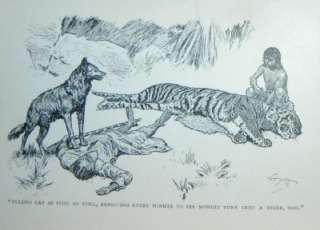 The Jungle Book   Rudyard Kipling   Rare 1894 VG  