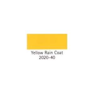  BENJAMIN MOORE PAINT COLOR SAMPLE Yellow Rain Coat 2020 40 