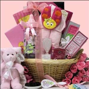 Congratulations Baby Girl Baby Gift Basket  Grocery 