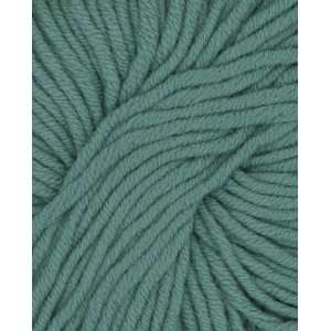  Filatura Di Crosa Zara Plus Yarn 1798 Seafoam Green Arts 