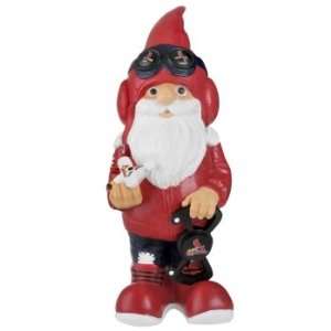   St. Louis Cardinals MLB Garden Gnome 11 Thematic