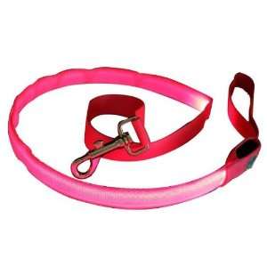  Super Bright Dog Leash with Pink LED Lights, Small