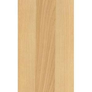   American Beech Blocked 8mm Attached Pad 02617