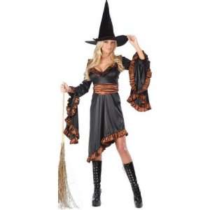  Adult Ruffle Witch Costume 