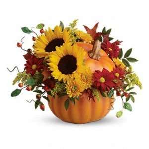 teleflora pretty pumpkin  Grocery & Gourmet Food