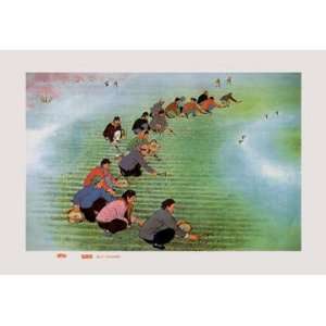  Spring Cultivation 12x18 Giclee on canvas