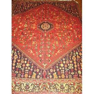 5x6 Hand Knotted Abadeh Persian Rug   50x69 