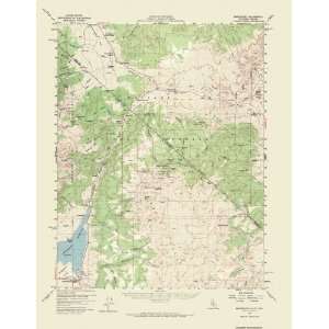   USGS TOPO MAP BRIDGEPORT QUAD CALIFORNIA (CA/NV) 1958