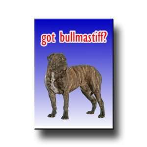    Bullmastiff Got? Fridge Magnet No 2 Brindle 