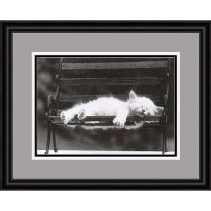    Cat Nap III by David McEnery   Framed Artwork