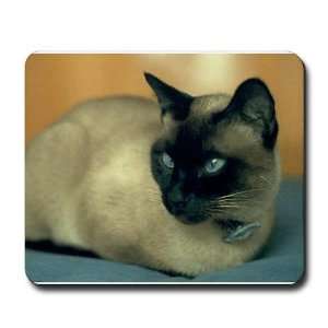  Siamese Cat Cute Mousepad by 