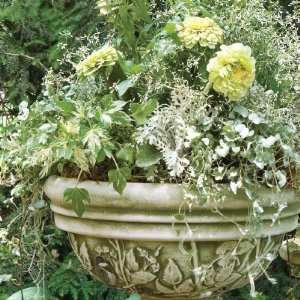  Burley Clay Chickadee Planter Bowl Patio, Lawn & Garden