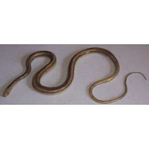   Distributor   48 Inch Yellow Striped Rat Toy Snake